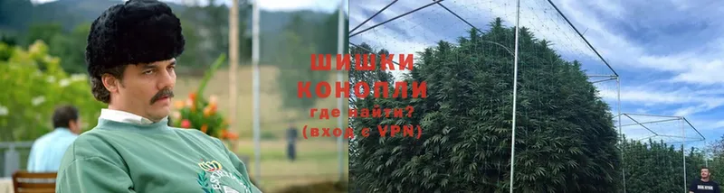 Бошки Шишки OG Kush  Калтан 